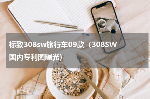标致308sw旅行车09款（308SW国内专利图曝光）