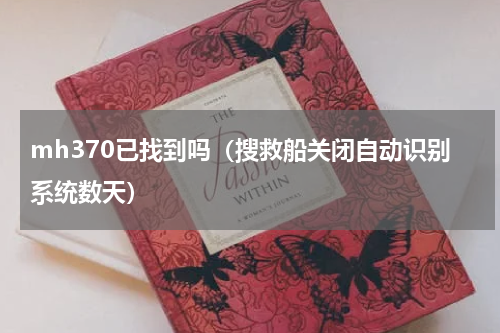 mh370已找到吗（搜救船关闭自动识别系统数天）