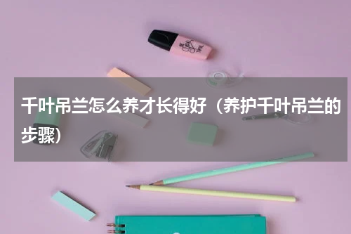 千叶吊兰怎么养才长得好（养护千叶吊兰的步骤）