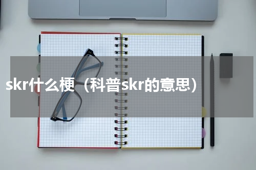 skr什么梗（科普skr的意思）