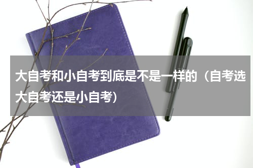 大自考和小自考到底是不是一样的（自考选大自考还是小自考）