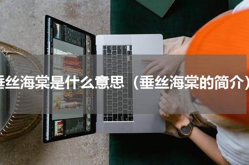 垂丝海棠是什么意思（垂丝海棠的简介）