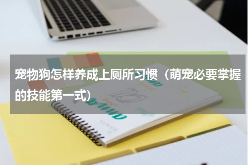 宠物狗怎样养成上厕所习惯（萌宠必要掌握的技能第一式）