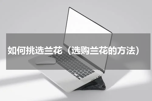 如何挑选兰花（选购兰花的方法）