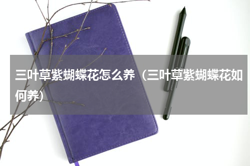 三叶草紫蝴蝶花怎么养（三叶草紫蝴蝶花如何养）