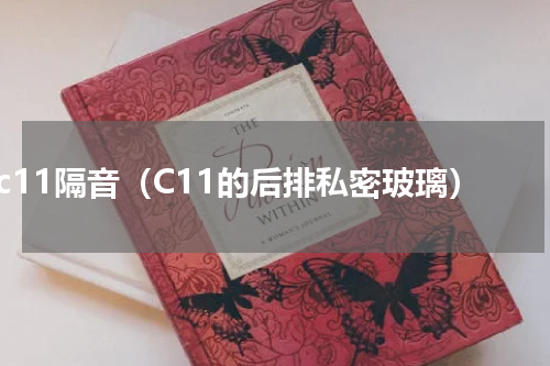 c11隔音（C11的后排私密玻璃）