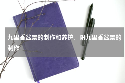 九里香盆景的制作和养护，附九里香盆景的制作