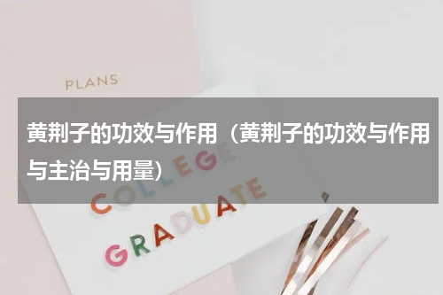 黄荆子的功效与作用（黄荆子的功效与作用与主治与用量）