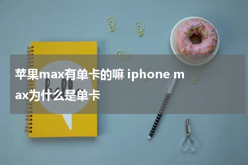 苹果max有单卡的嘛 iphone max为什么是单卡