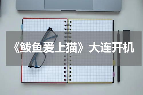 《鲅鱼爱上猫》大连开机