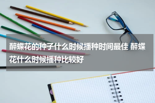 醉蝶花的种子什么时候播种时间最佳 醉蝶花什么时候播种比较好