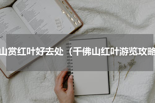 佛山赏红叶好去处（千佛山红叶游览攻略）