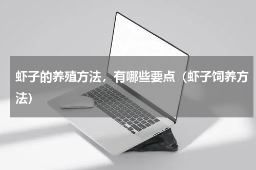 虾子的养殖方法，有哪些要点（虾子饲养方法）