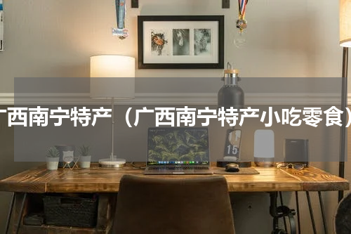 广西南宁特产（广西南宁特产小吃零食）