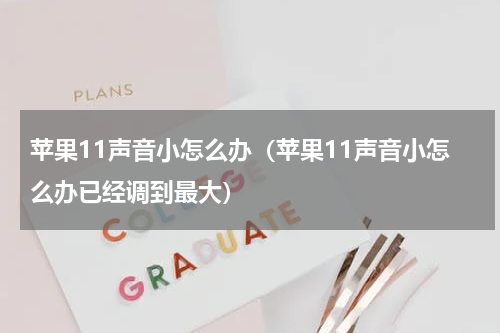 苹果11声音小怎么办（苹果11声音小怎么办已经调到最大）