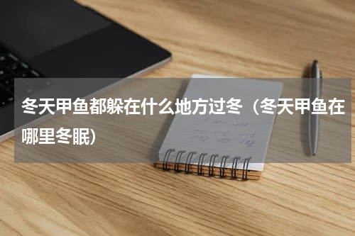 冬天甲鱼都躲在什么地方过冬（冬天甲鱼在哪里冬眠）