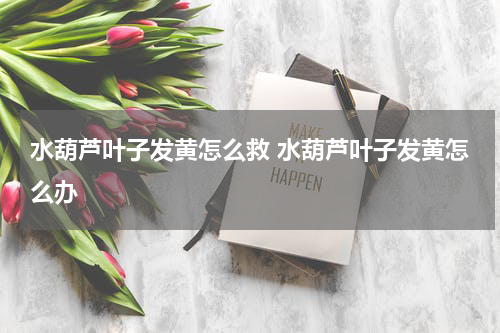 水葫芦叶子发黄怎么救 水葫芦叶子发黄怎么办