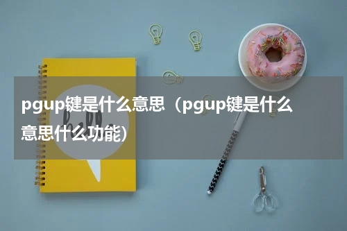 pgup键是什么意思（pgup键是什么意思什么功能）