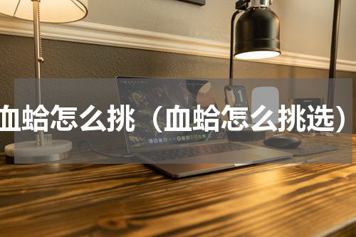 血蛤怎么挑（血蛤怎么挑选）