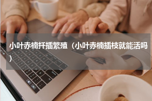 小叶赤楠扦插繁殖（小叶赤楠插枝就能活吗）