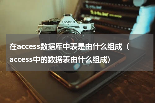 在access数据库中表是由什么组成（access中的数据表由什么组成）