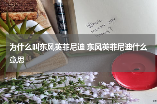 为什么叫东风英菲尼迪 东风英菲尼迪什么意思