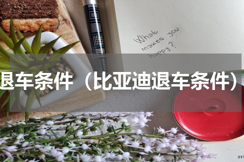 退车条件（比亚迪退车条件）