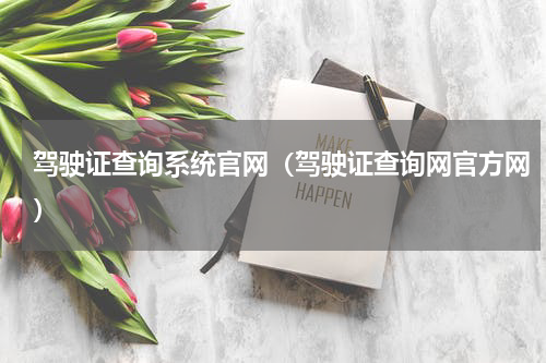 驾驶证查询系统官网（驾驶证查询网官方网）