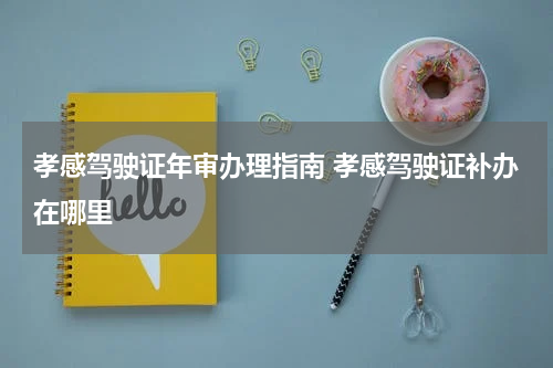 孝感驾驶证年审办理指南 孝感驾驶证补办在哪里