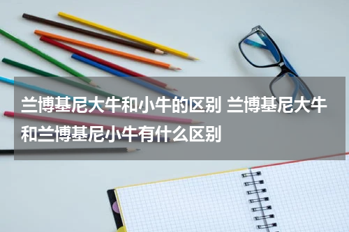 兰博基尼大牛和小牛的区别 兰博基尼大牛和兰博基尼小牛有什么区别