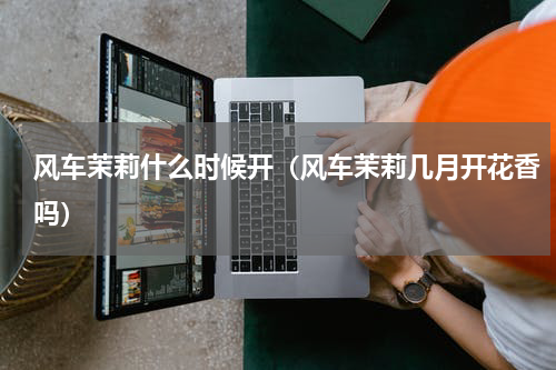 风车茉莉什么时候开（风车茉莉几月开花香吗）