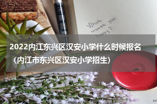 2022内江东兴区汉安小学什么时候报名（内江市东兴区汉安小学招生）