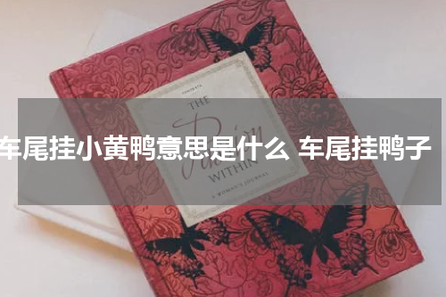 车尾挂小黄鸭意思是什么 车尾挂鸭子