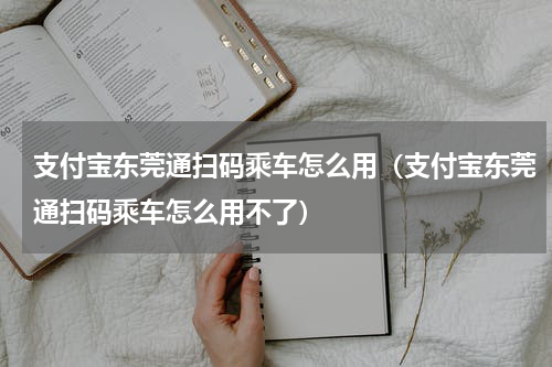 支付宝东莞通扫码乘车怎么用（支付宝东莞通扫码乘车怎么用不了）