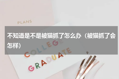 不知道是不是被猫抓了怎么办（被猫抓了会怎样）