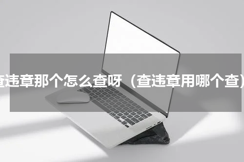 查违章那个怎么查呀（查违章用哪个查）