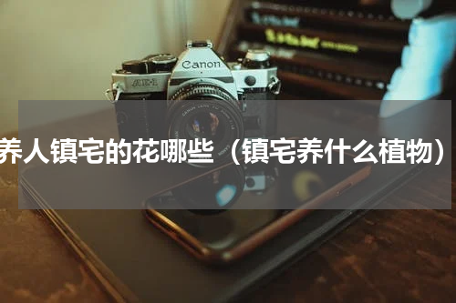 养人镇宅的花哪些（镇宅养什么植物）