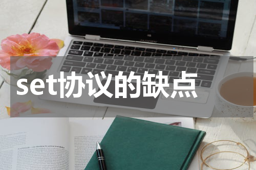 set协议的缺点