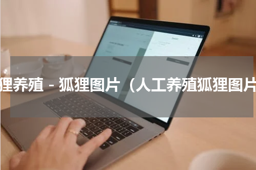 狐狸养殖－狐狸图片（人工养殖狐狸图片）