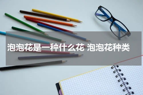 泡泡花是一种什么花 泡泡花种类