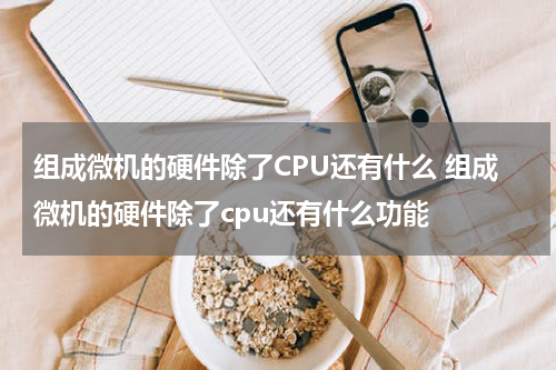 组成微机的硬件除了CPU还有什么 组成微机的硬件除了cpu还有什么功能