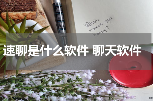 速聊是什么软件 聊天软件