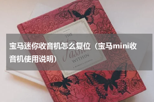 宝马迷你收音机怎么复位（宝马mini收音机使用说明）