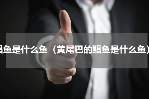 鲳鱼是什么鱼（黄尾巴的鲳鱼是什么鱼）