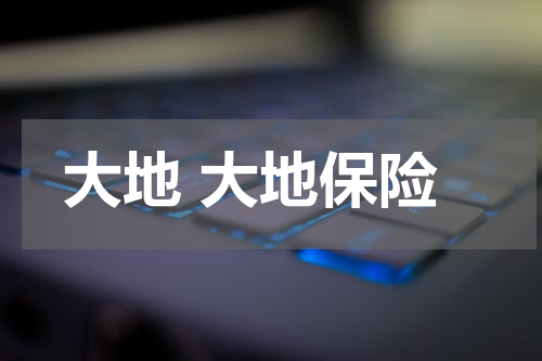 大地 大地保险