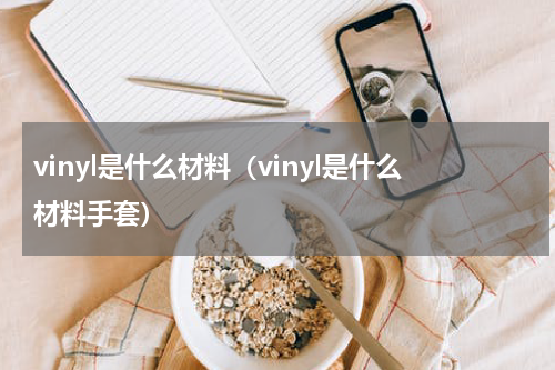 vinyl是什么材料（vinyl是什么材料手套）