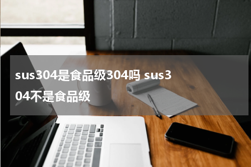 sus304是食品级304吗 sus304不是食品级