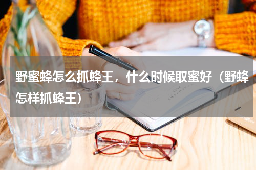 野蜜蜂怎么抓蜂王，什么时候取蜜好（野蜂怎样抓蜂王）