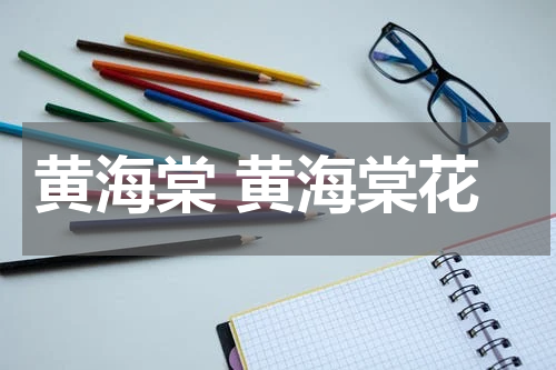 黄海棠 黄海棠花