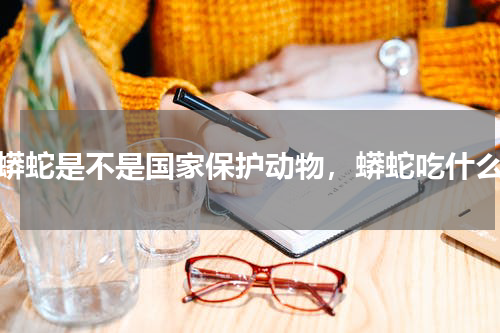 蟒蛇是不是国家保护动物，蟒蛇吃什么